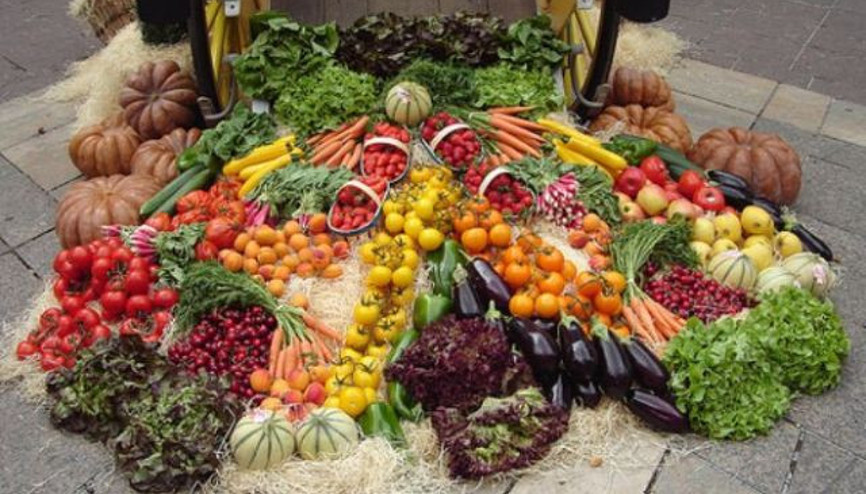 Bitkisel üretim değeri arttı