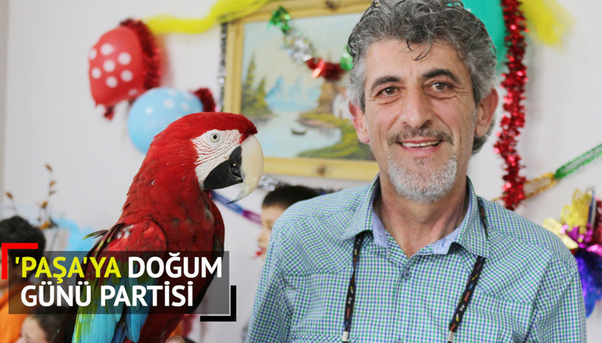 Papağan Paşaya doğum günü