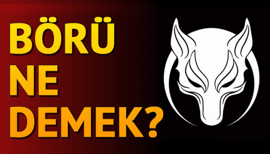 Börü ne demek