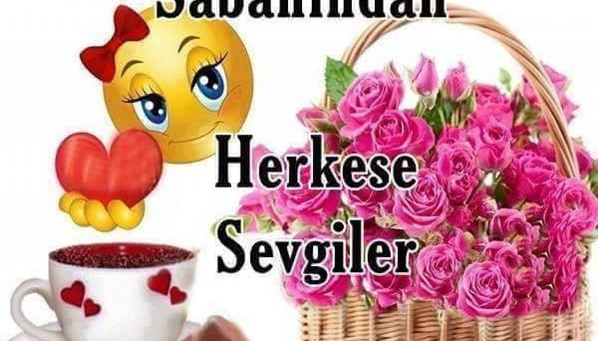 Hafta sonu mesajları - 2019un en eğlenceli ve komik hafta sonu mesajları Hafta sonu mesajları - 2019un en eğlenceli ve komik hafta sonu mesajları
