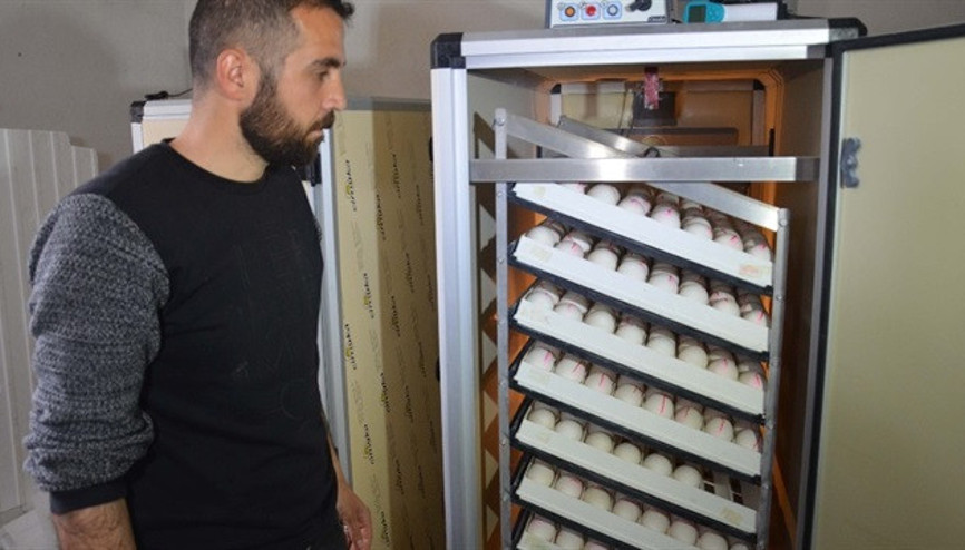 Evini sattı köyüne döndü Şimdi paraya para demiyor Evini sattı köyüne döndü Şimdi paraya para demiyor