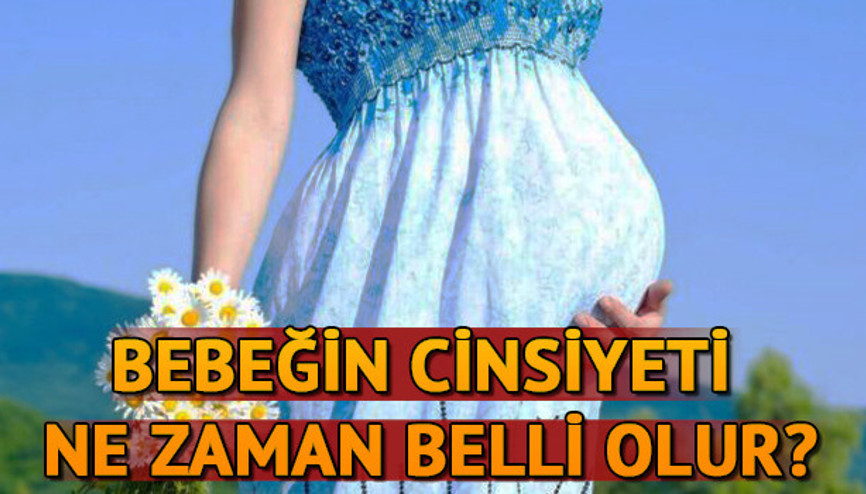 Bebeğin cinsiyeti ne zaman belli olur Cinsiyet ne zaman anlaşılır