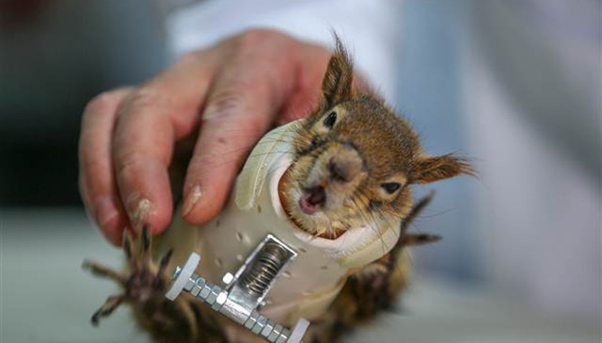 Karamel bir ilk oldu, alışmaya çalışıyor...