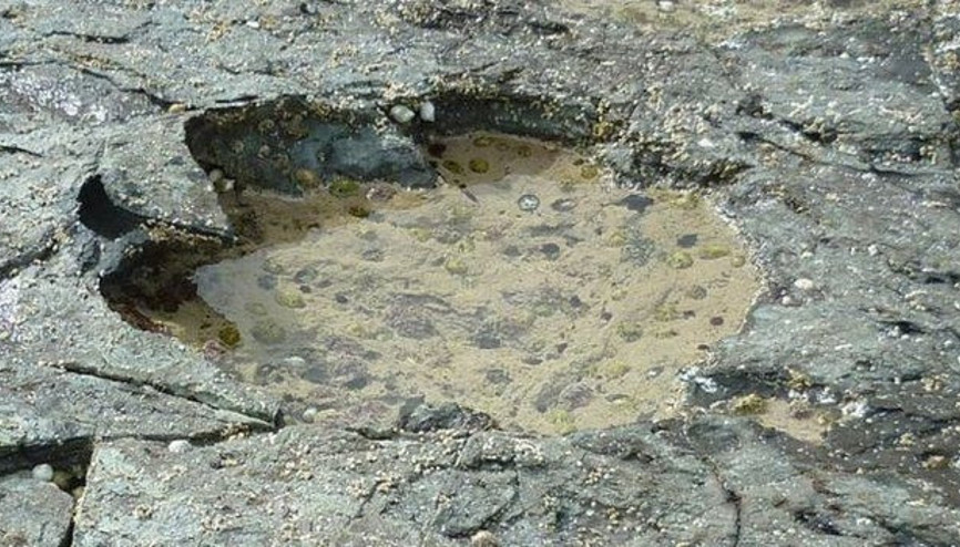 Skye Adasında 170 milyon yıl öncesine ait dinozor ayak izi bulundu