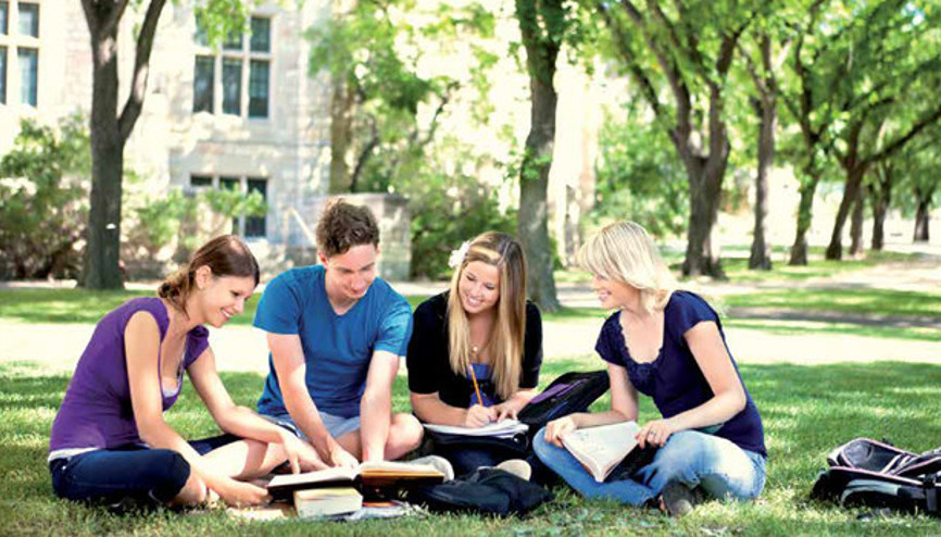 2017de YLSYye kaç kişi başvurdu