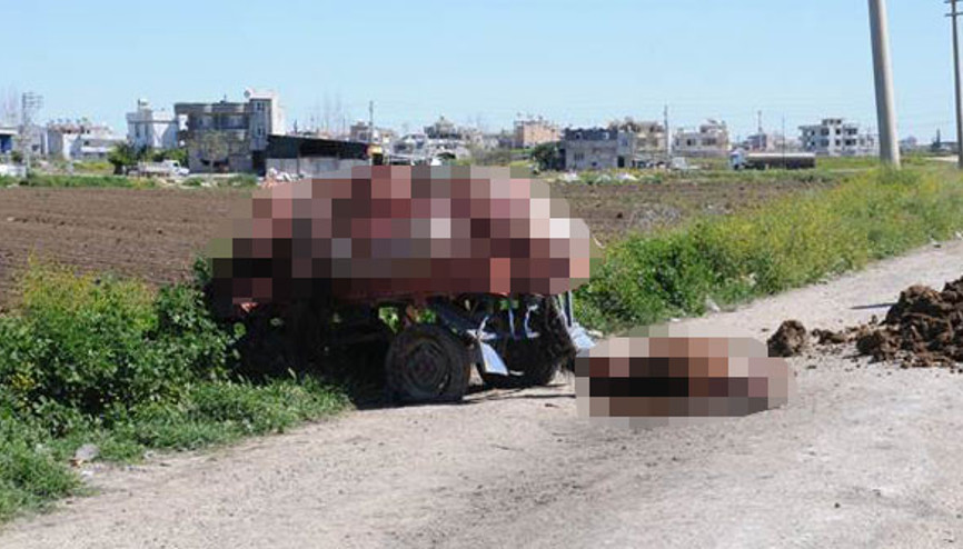 Adanada mide bulandıran görüntü Gözlerine inanamadılar…