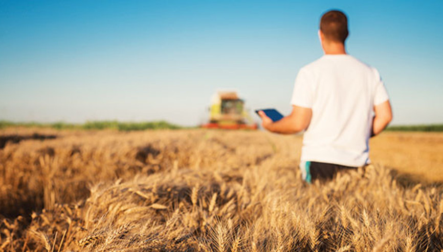 Tarlalar da akıllanıyor Tarlalar da akıllanıyor