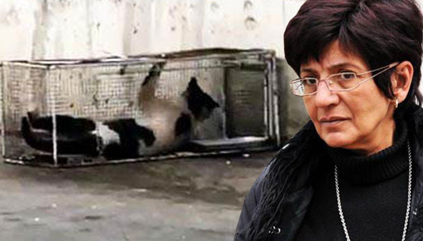 Markette sucuk çalan kediye kafes cezası Markette sucuk çalan kediye kafes cezası