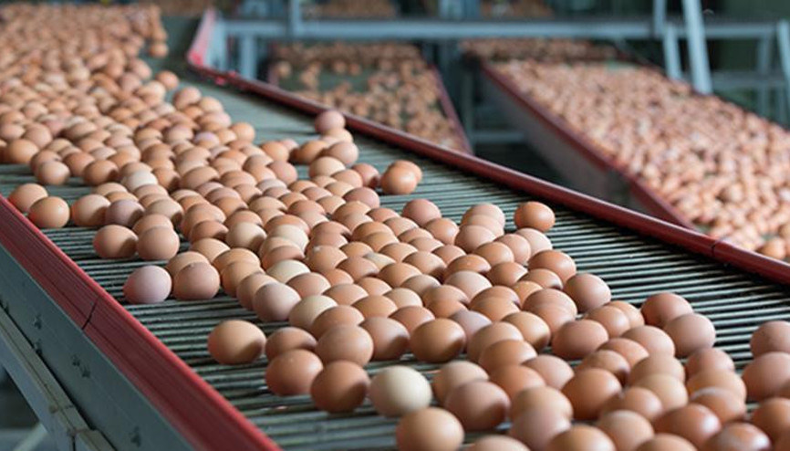 Pazartesi başlıyor... Üzerinde bu yazı yoksa almayın Pazartesi başlıyor... Üzerinde bu yazı yoksa almayın