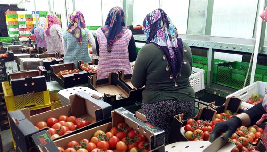 Rusya izin verdi İlk kasalar gönderildi