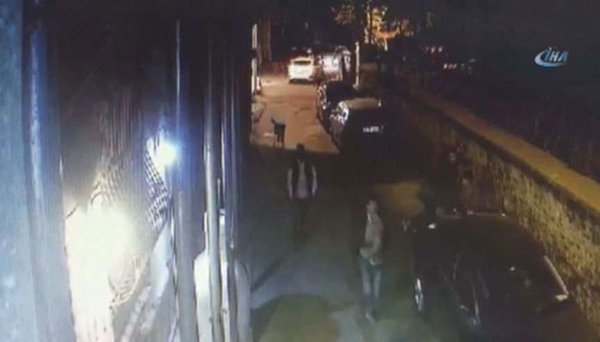 Köpeklerden kaçmak için arabaların üzerine çıkan vatandaşlar kamerada