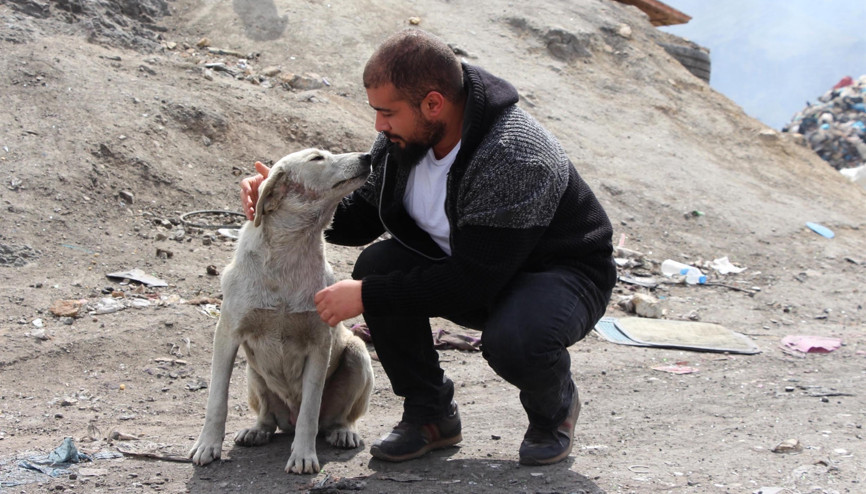 Öğrenci ve akademisyenler, sokak hayvanları için seferber