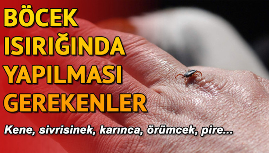 Böcek ısırması durumunda ne yapılmalı Böcek sokması tedavisi
