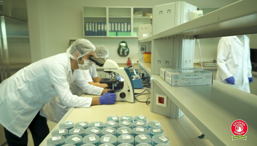 Antibiyotik Kullanılıyor mu
