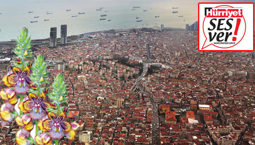 Kentlerin kaybolan güzellikleri