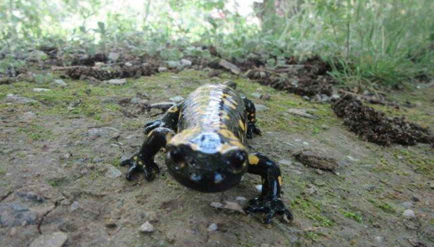 Bitliste görüntülendi... Bitliste görüntülendi...