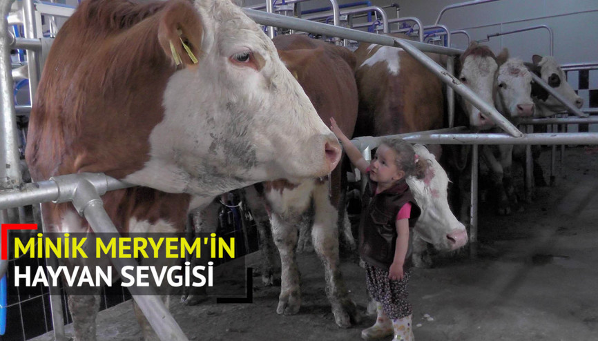Minik Meryemin hayvan sevgisi