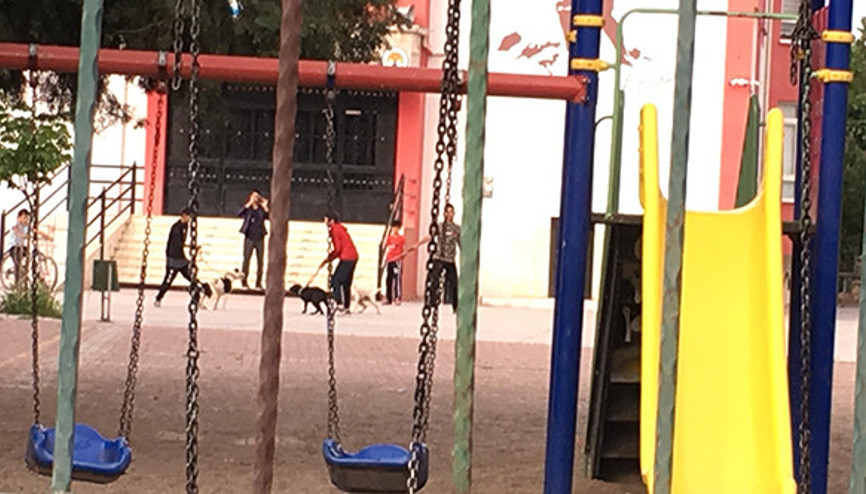 Okul bahçesinde şoke eden görüntü