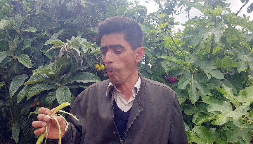 Eşki ışkın yedi, sosyal medyayı salladı