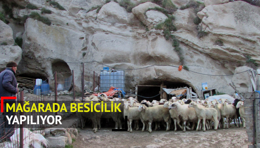 Mağaralarda besicilik yapıyorlar