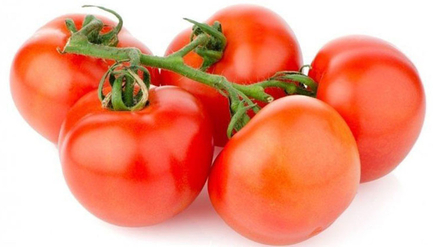 Domateste kriz... Rusya ile sorun yaşamak istemiyoruz