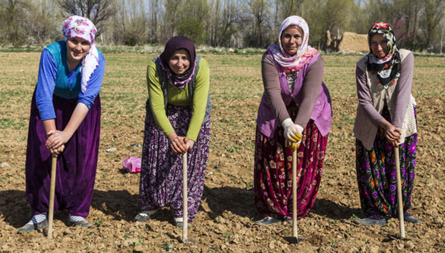 Türk insanı hakkında şaşırtıcı bilgiler