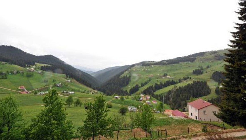 PKKlı teröristler yayla evlerinden erzak çaldı