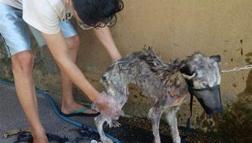 Bulunduğunda bu haldeydi... 10 ayda inanılmaz değişim