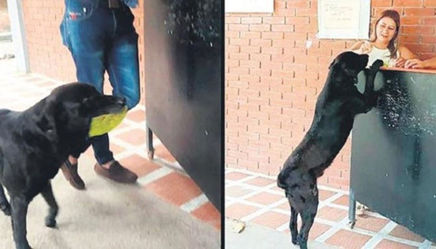 Kafeteryada sıradan bir gün