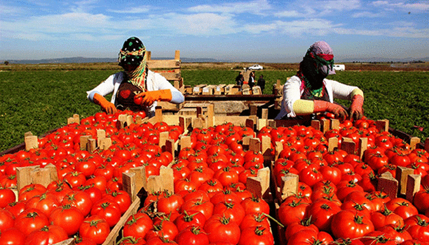 İhracatçıdan kırmızı alarm