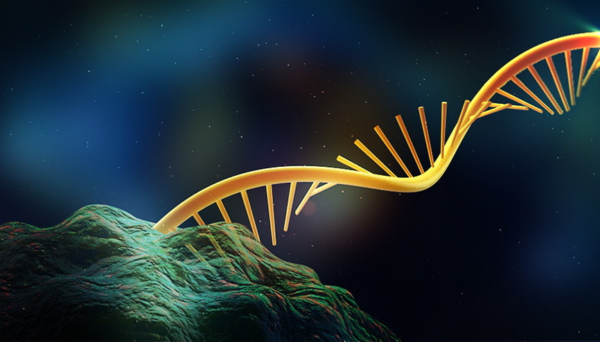 RNA ile hafıza transferi yapıldı