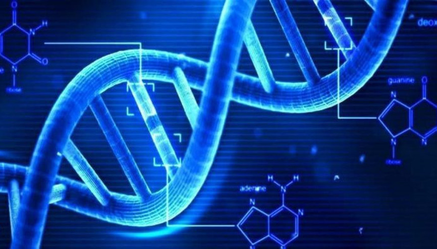 DNA örneğinden saç, göz ve cilt rengini tahmin eden cihaz