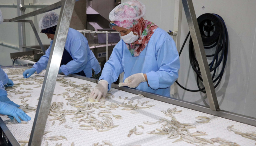 Yozgatta üretiliyor Avrupada yok satıyor