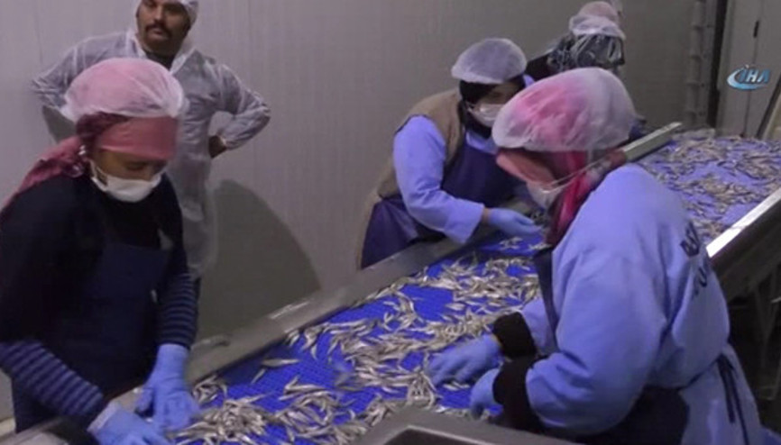 Yozgatta üretiliyor Avrupada yok satıyor