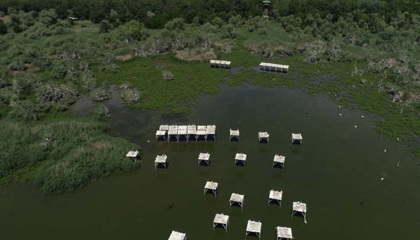 Manyas Gölü’ne yapıldı Türkiye için bir ilk…