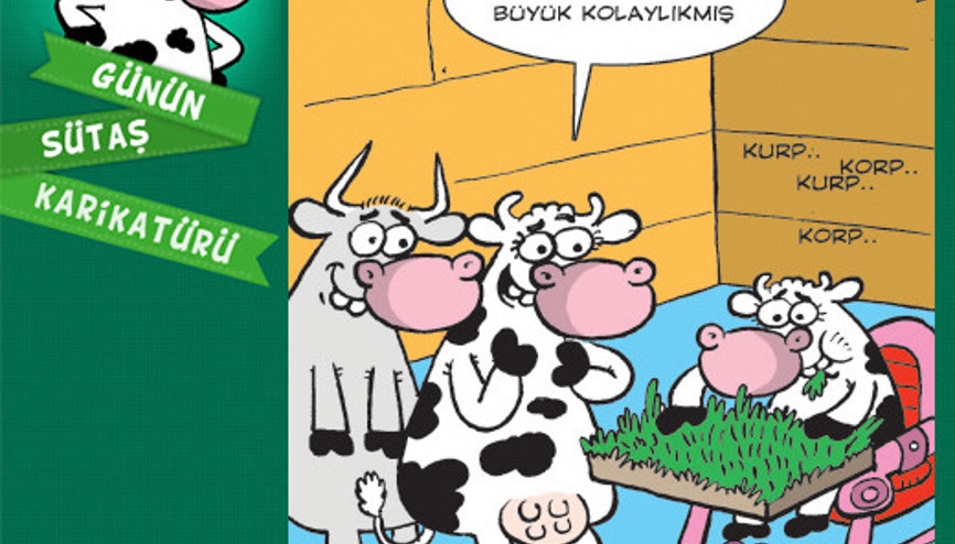 Günün Sütaş karikatürü