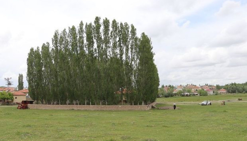 Kimse ilk bakışta göremiyor Sivasta yaptılar