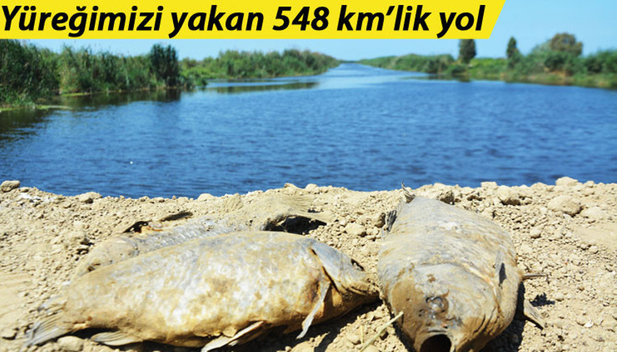 Menderes ölmesin hayat versin Menderes ölmesin hayat versin