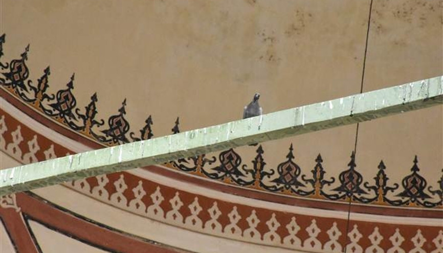 Edirne’de tarihi camilerdeki ’kuş konmazlar’ kaldırıldı