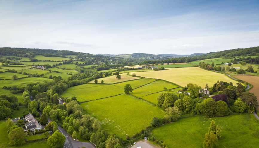Maliyeden Hazine arazilerini kullananlara müjde Maliyeden Hazine arazilerini kullananlara müjde