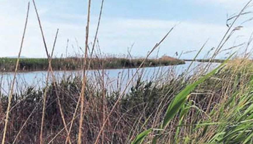 İzmirde sır valiz cinayeti