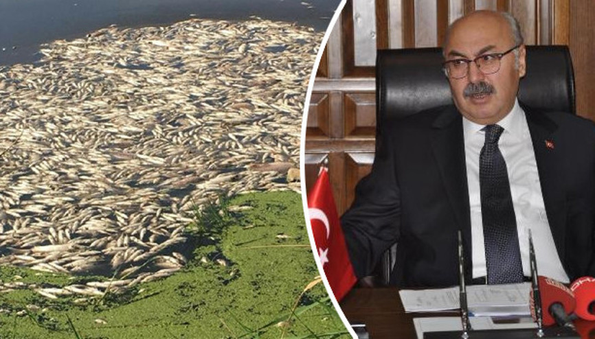 Aydın Valisi toplu balık ölümlerinin nedenini açıkladı Aydın Valisi toplu balık ölümlerinin nedenini açıkladı