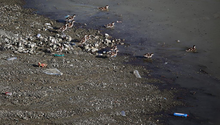 Kuş cennetinde atık manzarası