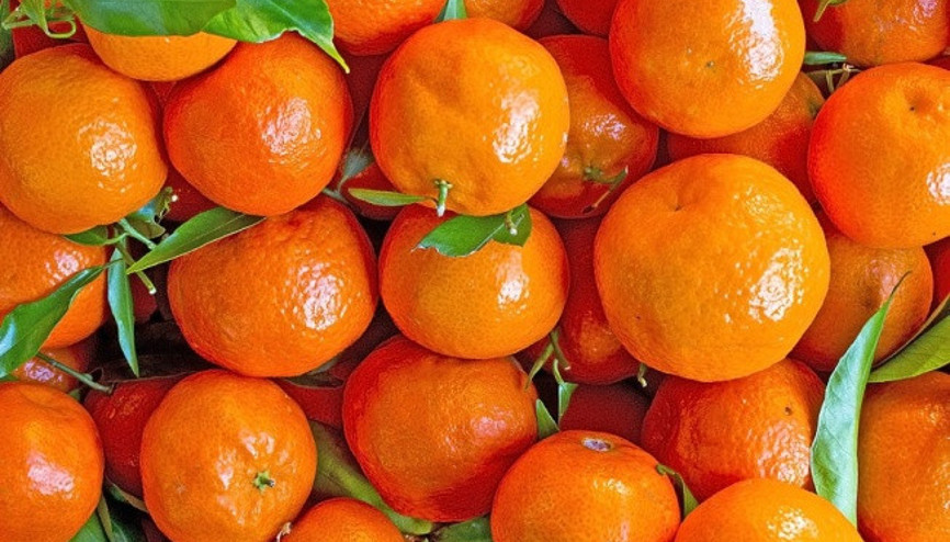 Rusyaya en çok mandarin ihraç edildi