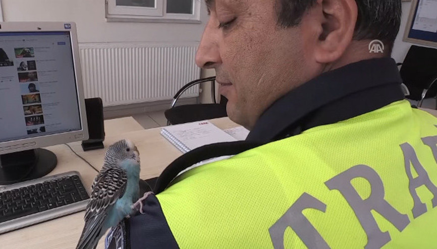 Bayram Şekeri polis ekiplerinin maskotu oldu
