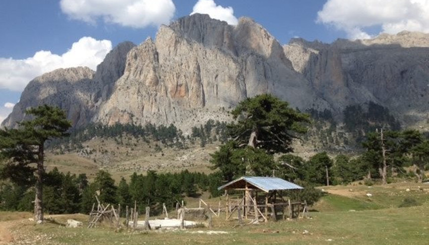 Doğayı korumak için tırmanıyorlar