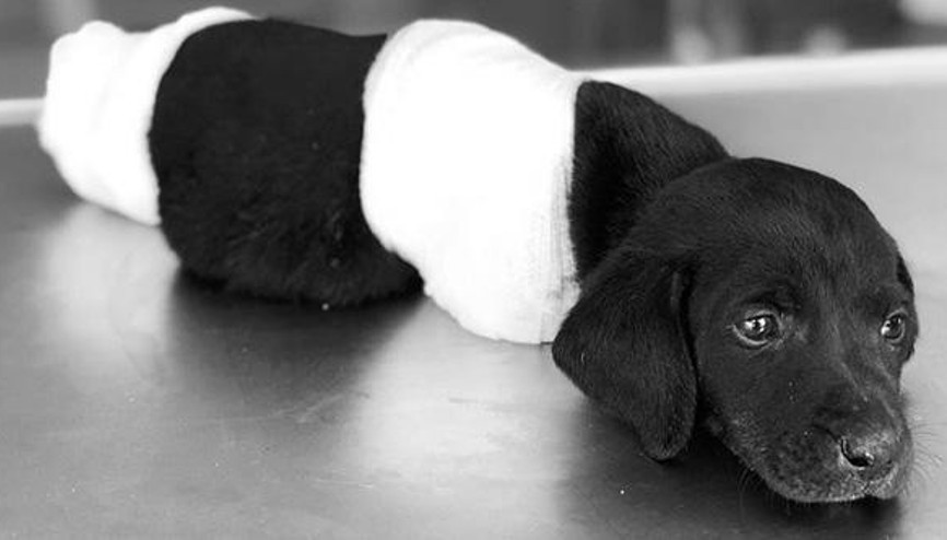 Son 24 saatte ne oldu (16.06.2018)