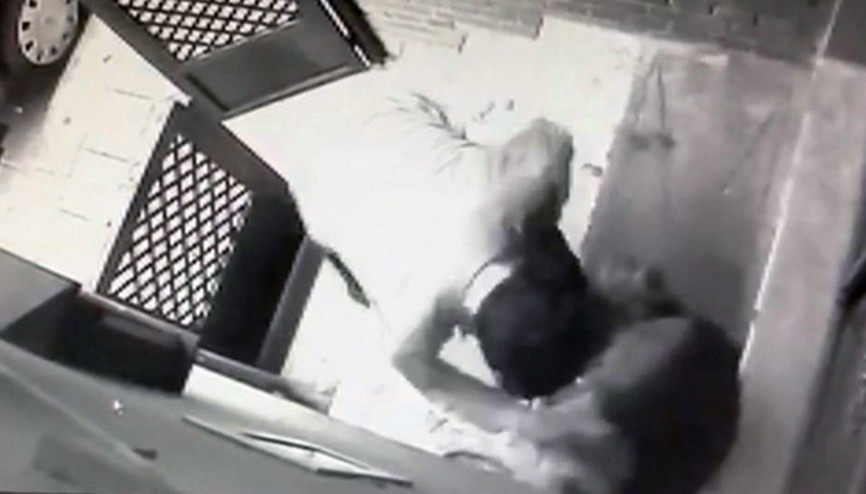 Another man detained over violence against stray dog