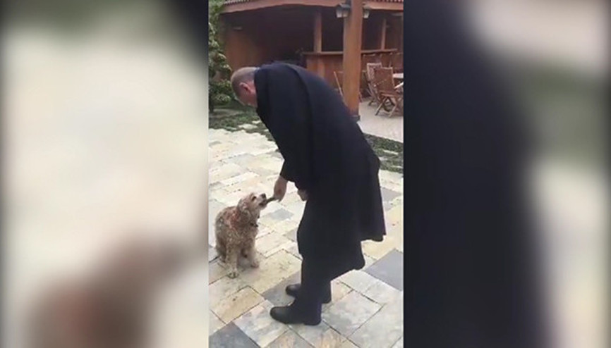 Video showing Erdoğan giving cucumber to dog goes viral