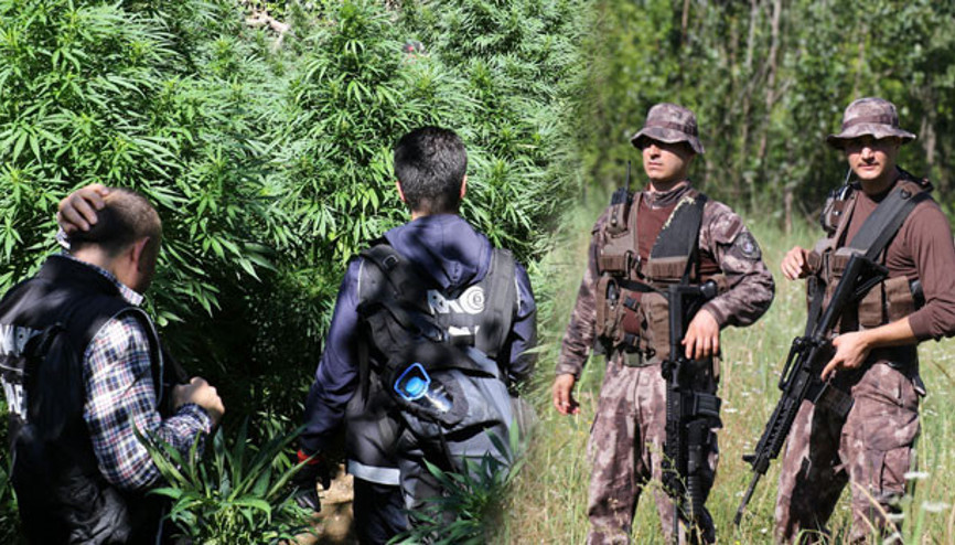 Polis bile şaştı kaldı İnsan boyunu aşmış...